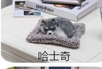 Lifelike Husky Bamboo Charcoal Bag Home Decor Car Accessories